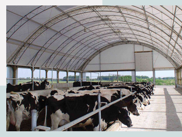 Тентовые коровники в Острогожске